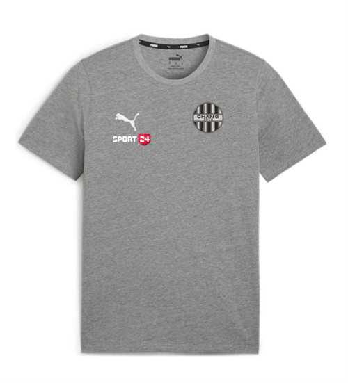 TeamGoal Casuals Tee Grå
